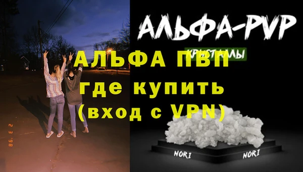 СК Балахна