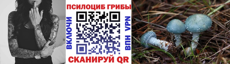 сколько стоит  Унеча  blacksprut как зайти  Псилоцибиновые грибы ЛСД 