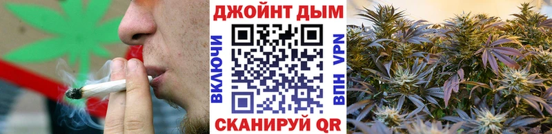 Конопля SATIVA & INDICA  OMG ссылка  Унеча 